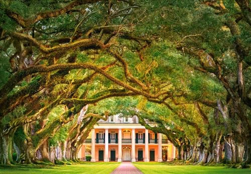 Castorland C-104383-2 Oak Alley Plantation 1000 Teile Puzzle, Bunt von Castorland