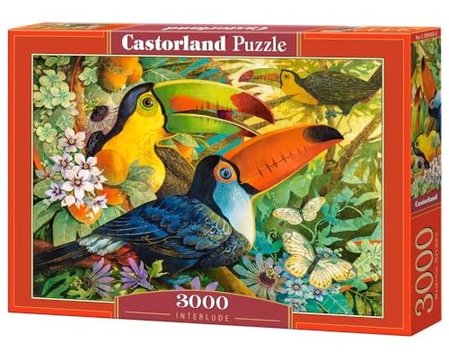 Castorland C-300433-2 Interlude Puzzle, bunt Castorland C-300433-2 Interlude Puzzle, bunt von Castorland