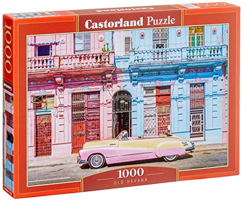 Castorland C-104550-2 CSC104550 Puzzle, Bunt von Castorland