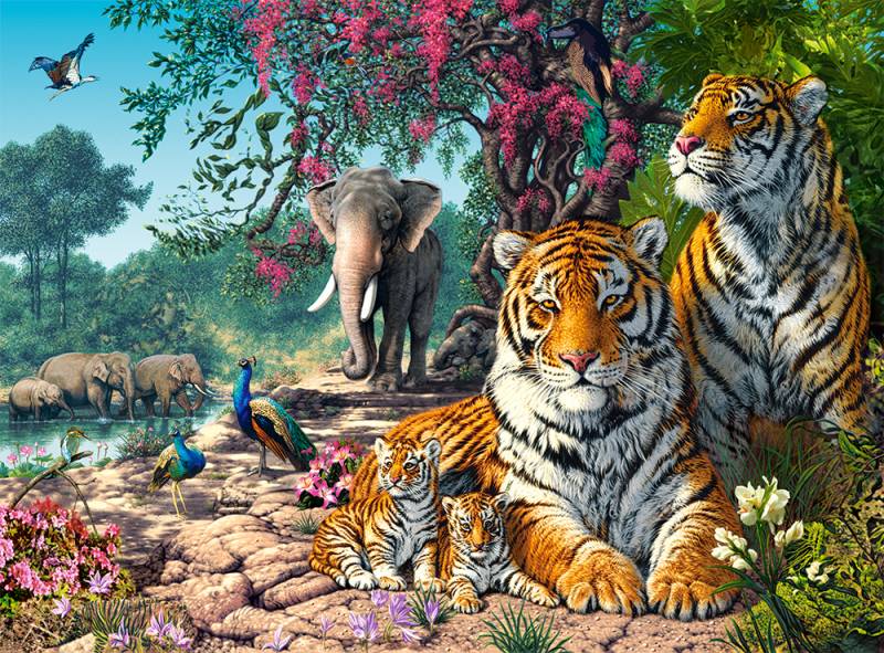 Castorland Das Tigerheiligtum 3000 Teile Puzzle Castorland-300600 von Castorland