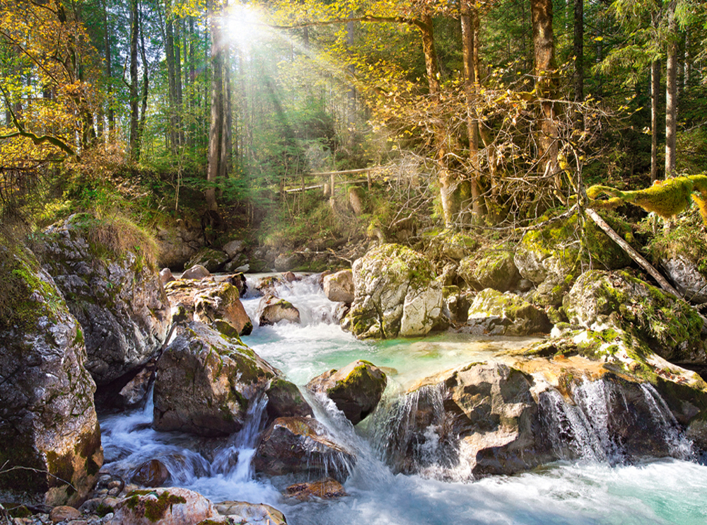 Castorland Der Waldbach 2000 Teile Puzzle Castorland-200382 Castorland Der Waldbach 2000 Teile Puzzle Castorland-200382 von Castorland
