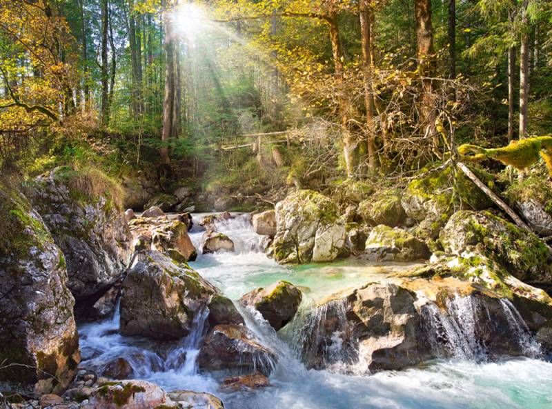 Castorland Der Waldbach 2000 Teile Puzzle Castorland-200382 von Castorland