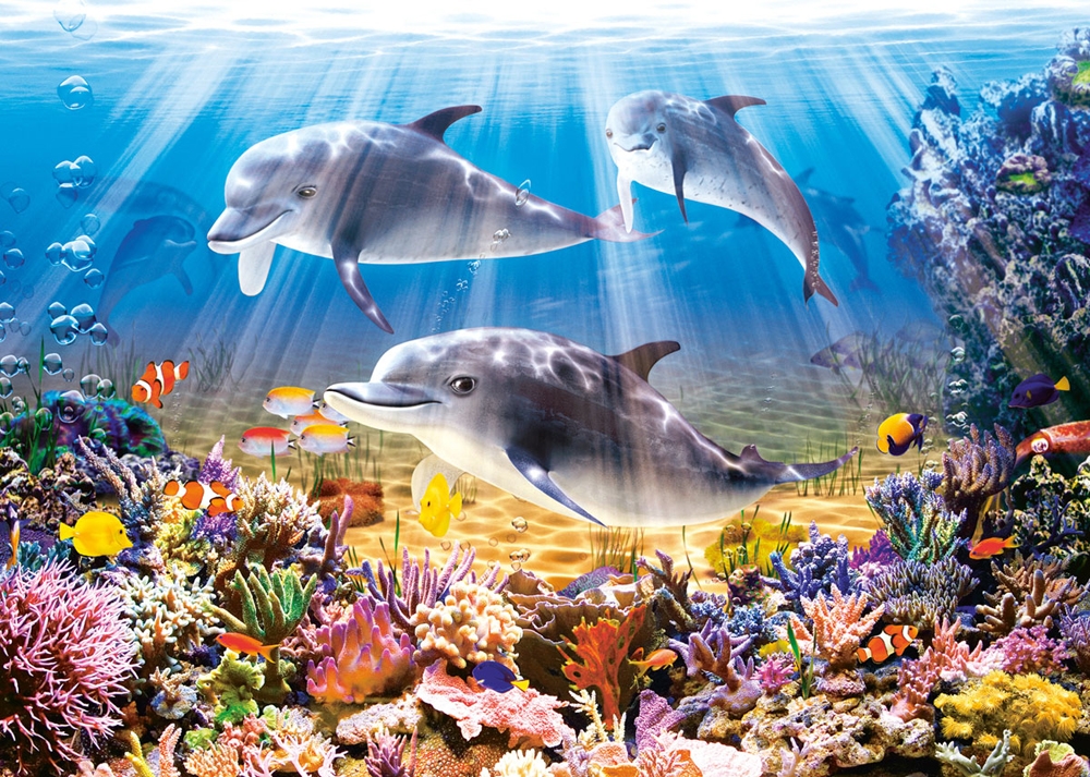 Castorland Die Welt der Delfine 500 Teile Puzzle Castorland-52547 Castorland Die Welt der Delfine 500 Teile Puzzle Castorland-52547 von Castorland