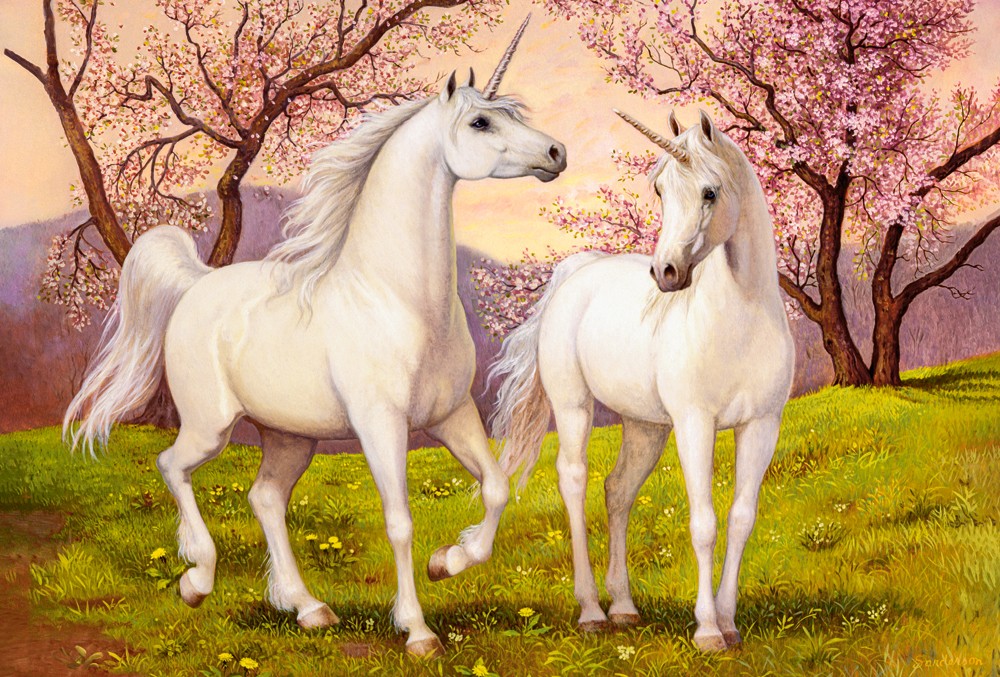 Castorland Einhornliebe 1000 Teile Puzzle Castorland-105236 Castorland Einhornliebe 1000 Teile Puzzle Castorland-105236 von Castorland