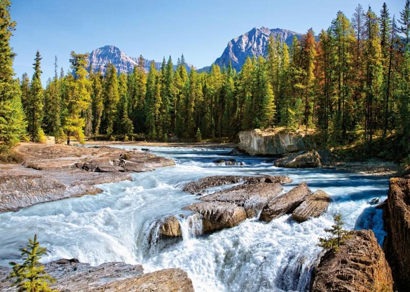 Castorland Fluss Athabasca, Jasper Nationalpark, Kanada 1500 Teile Puzzle Castorland-150762 von Castorland