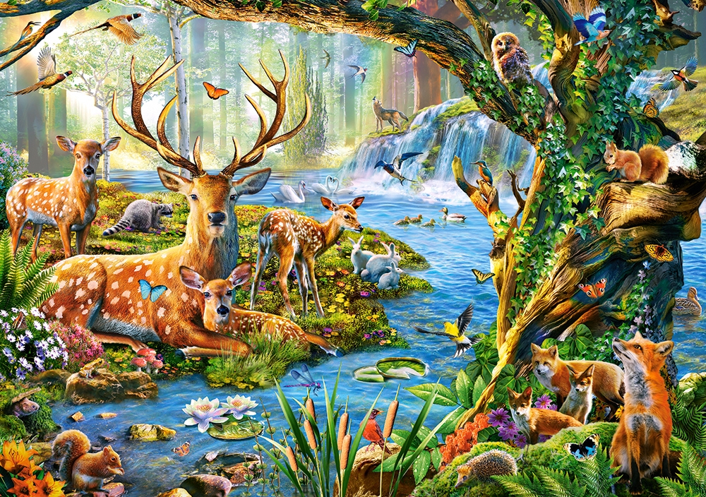 Castorland Leben im Wald 500 Teile Puzzle Castorland-52929 Castorland Leben im Wald 500 Teile Puzzle Castorland-52929 von Castorland