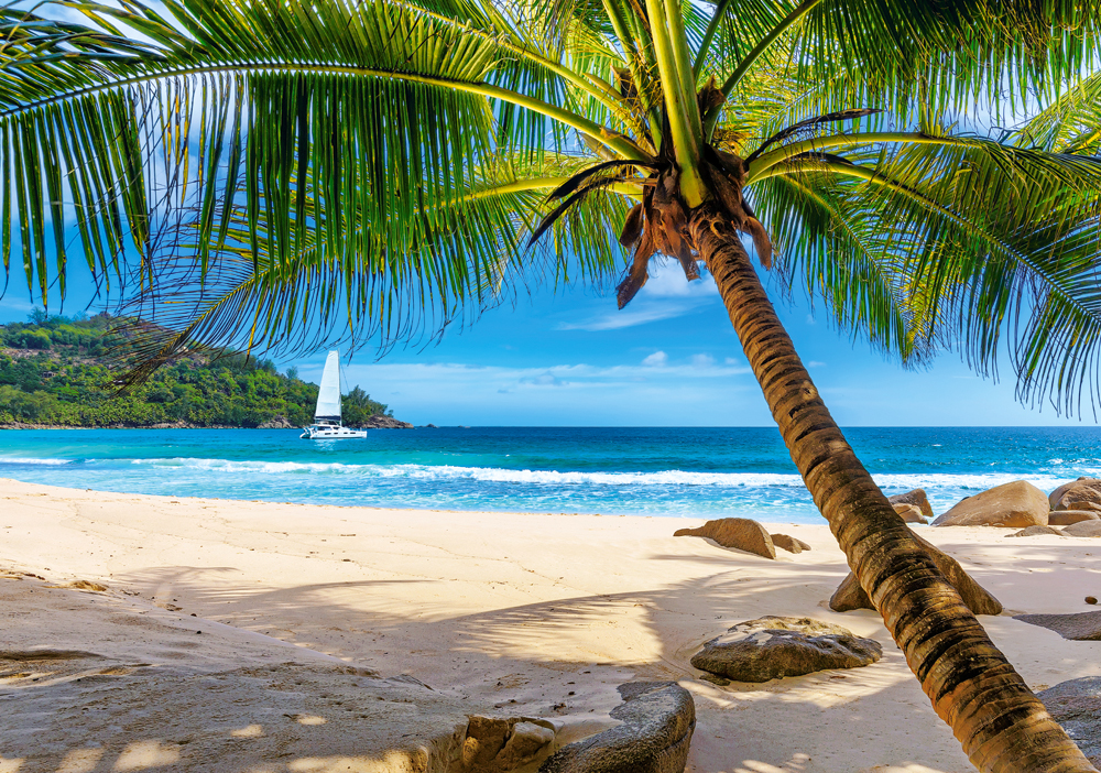 Castorland Ferien in den Seychellen 500 Teile Puzzle Castorland-53827 Castorland Ferien in den Seychellen 500 Teile Puzzle Castorland-53827 von Castorland