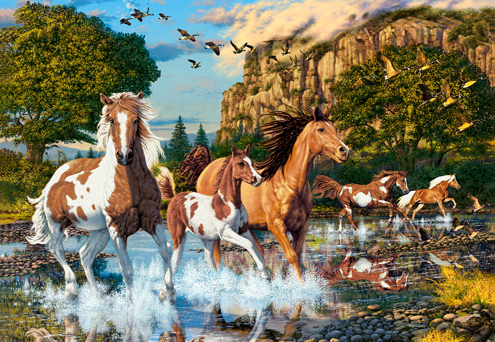 Castorland Pferdewunderland 1000 Teile Puzzle Castorland-104789 Castorland Pferdewunderland 1000 Teile Puzzle Castorland-104789 von Castorland