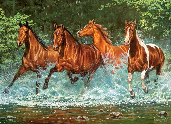 Castorland Kaskadenlauf 300 Teile Puzzle Castorland-030361 Castorland Kaskadenlauf 300 Teile Puzzle Castorland-030361 von Castorland