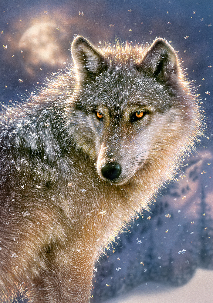 Castorland Einsamer Wolf 500 Teile Puzzle Castorland-52431 Castorland Einsamer Wolf 500 Teile Puzzle Castorland-52431 von Castorland