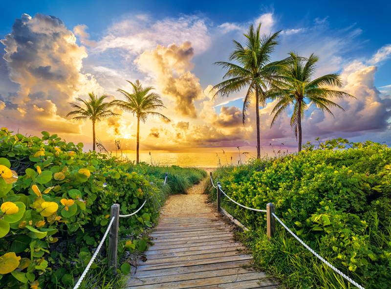 Castorland Miami, USA 3000 Teile Puzzle Castorland-300617 von Castorland