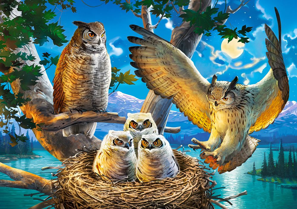 Castorland Familie Eule 500 Teile Puzzle Castorland-53322 Castorland Familie Eule 500 Teile Puzzle Castorland-53322 von Castorland