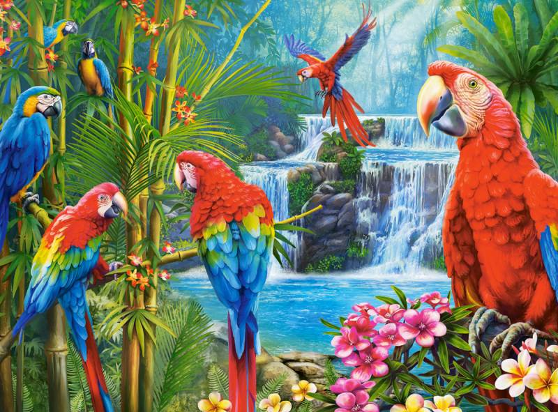 Castorland Parrot Meeting 2000 Teile Puzzle Castorland-200870 von Castorland
