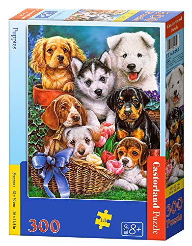 Castorland B-030323 Puppies, 300 Teile Puzzle, bunt von Castorland