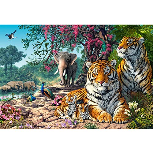 Castorland Puzzle 3000 Teile Tiger Sanctuary von Castorland