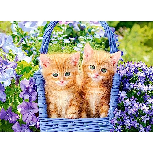 Castorland Puzzle 70 Teile Ingwer Kittens von Castorland