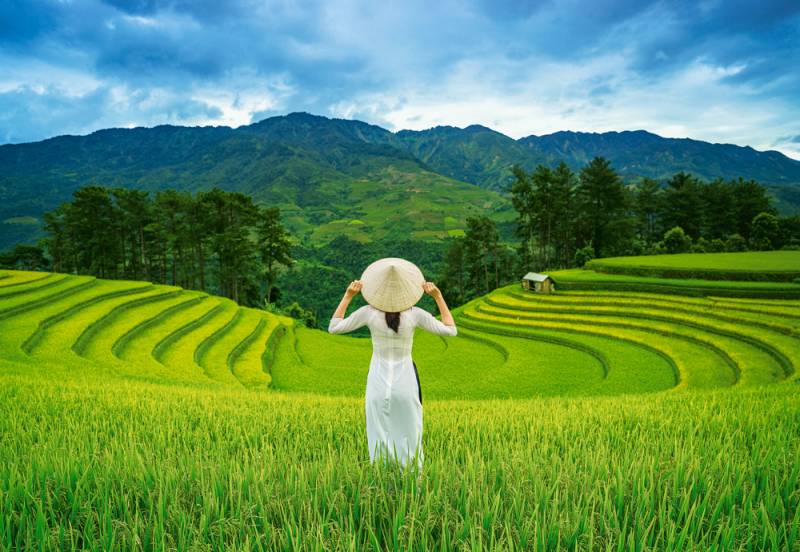 Castorland Rice Fields in Vietnam 1000 Teile Puzzle Castorland-105052 von Castorland