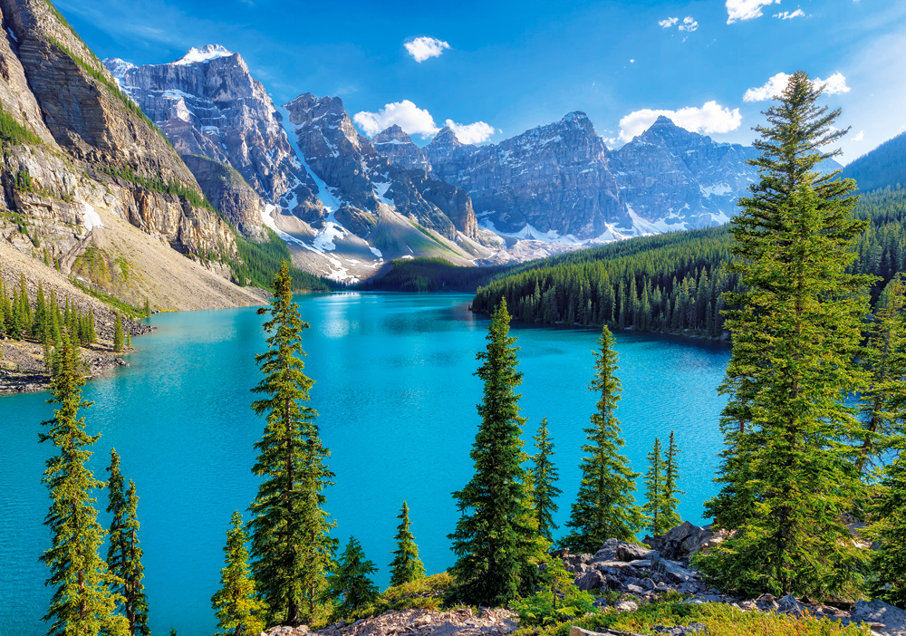 Castorland Spring at Moraine Lake, Canada 500 Teile Puzzle Castorland-53810 Castorland Spring at Moraine Lake, Canada 500 Teile Puzzle Castorland-53810 von Castorland