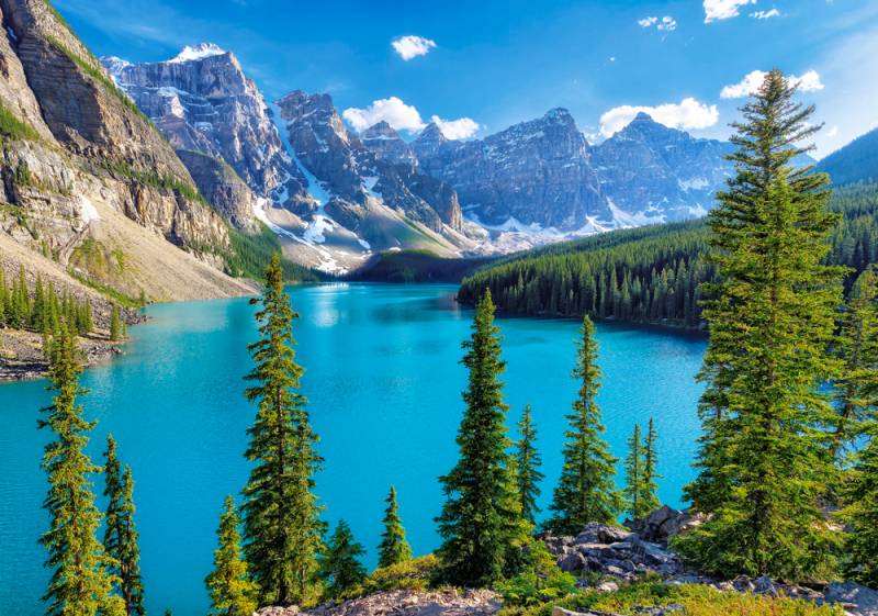 Castorland Spring at Moraine Lake, Canada 500 Teile Puzzle Castorland-53810 von Castorland