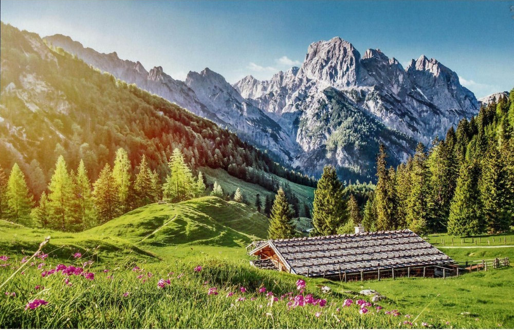 Castorland Summer in the Alps 500 Teile Puzzle Castorland-53360 Castorland Summer in the Alps 500 Teile Puzzle Castorland-53360 von Castorland