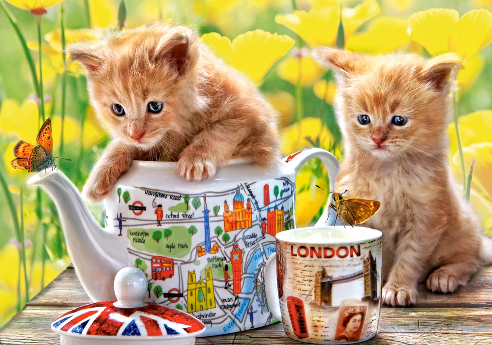 Castorland Teezeit 500 Teile Puzzle Castorland-52356 Castorland Teezeit 500 Teile Puzzle Castorland-52356 von Castorland