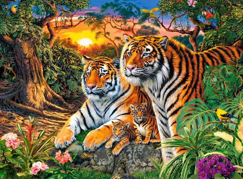 Castorland Tiger-Familie 2000 Teile Puzzle Castorland-200825 von Castorland