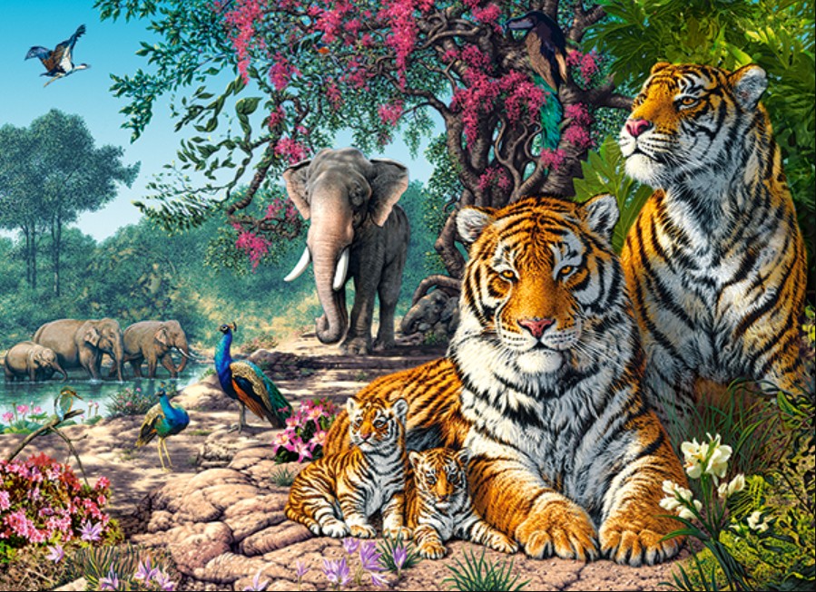 Castorland Tiger-Schutzgebiet 300 Teile Puzzle Castorland-030484 Castorland Tiger-Schutzgebiet 300 Teile Puzzle Castorland-030484 von Castorland