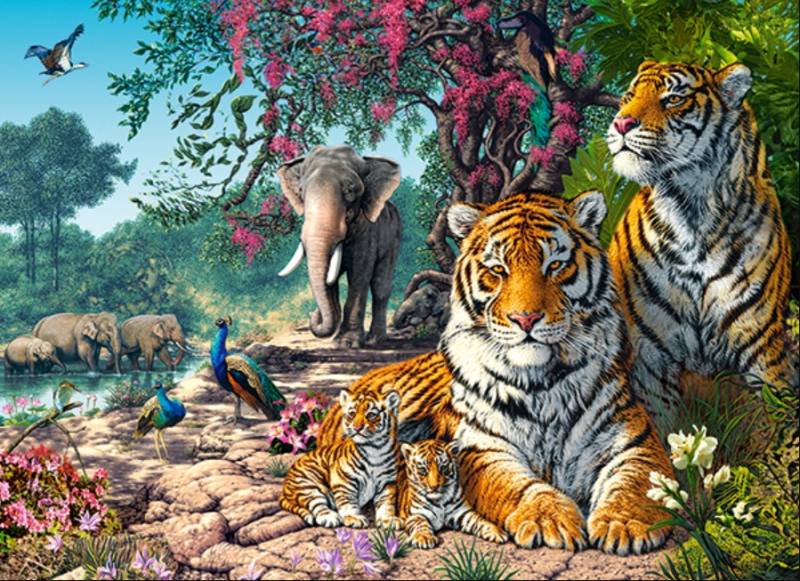 Castorland Tiger-Schutzgebiet 300 Teile Puzzle Castorland-030484 von Castorland