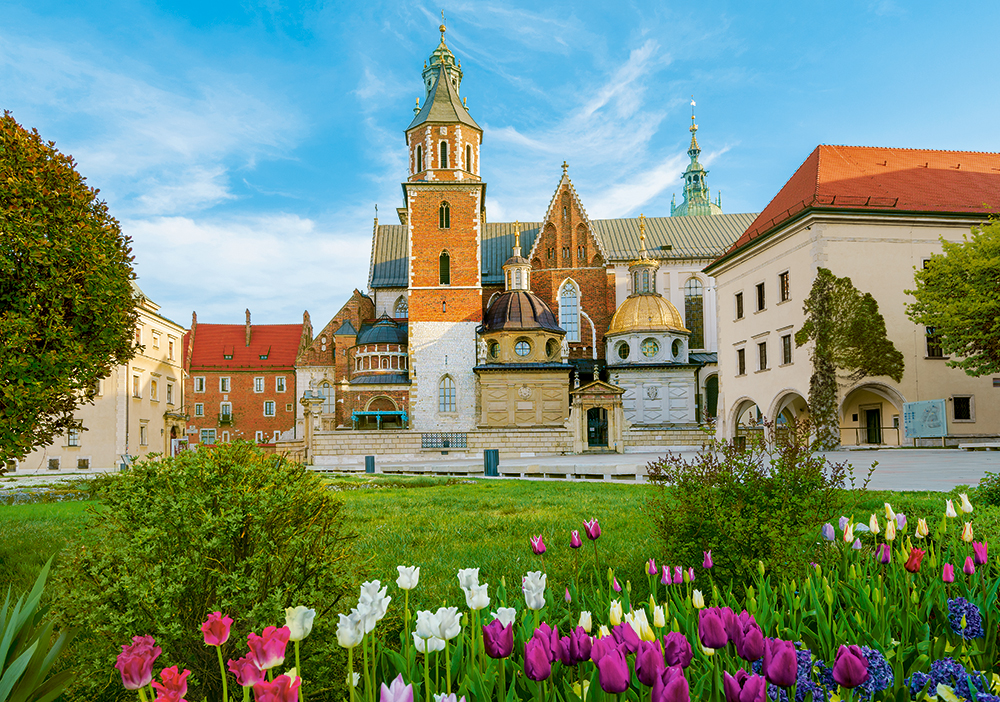 Castorland Schloss Wawel, Krakow, Poland 500 Teile Puzzle Castorland-53599 Castorland Schloss Wawel, Krakow, Poland 500 Teile Puzzle Castorland-53599 von Castorland