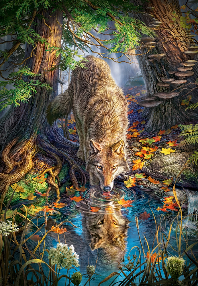 Castorland Wolf in the Wild 1500 Teile Puzzle Castorland-151707 von Castorland