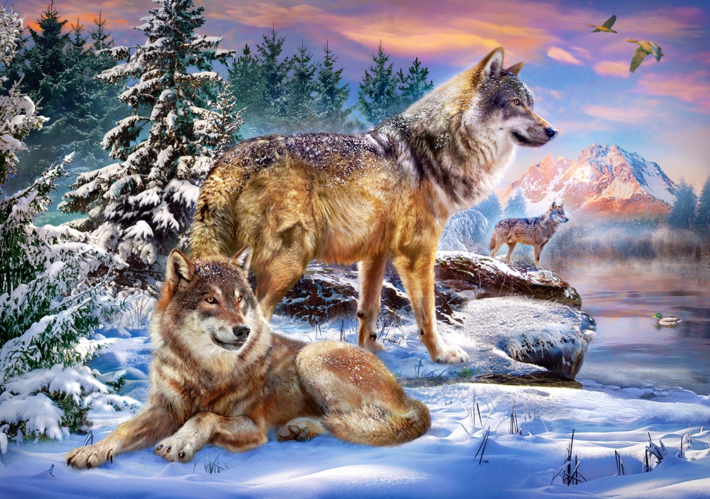 Castorland Wölfisches Wunderland 500 Teile Puzzle Castorland-53049 Castorland Wölfisches Wunderland 500 Teile Puzzle Castorland-53049 von Castorland