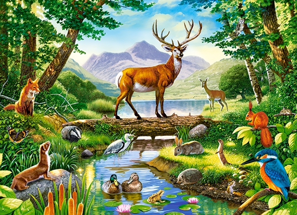 Castorland Woodland Harmony 300 Teile Puzzle Castorland-030408 Castorland Woodland Harmony 300 Teile Puzzle Castorland-030408 von Castorland
