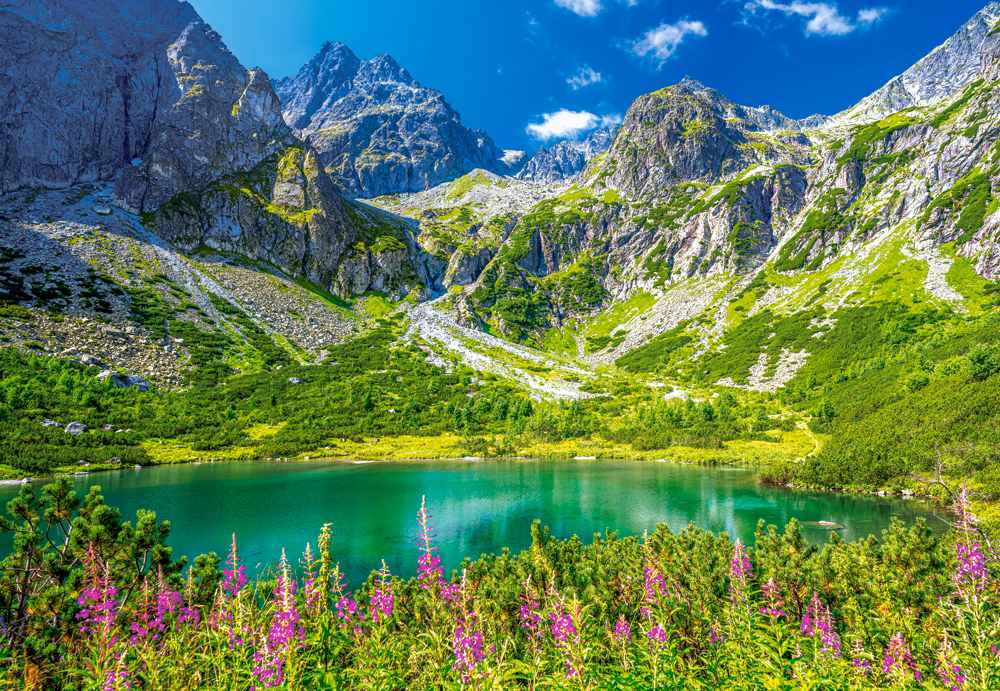 Castorland Zelene Pleso, Tatras, Slowakei 1000 Teile Puzzle Castorland-105267 Castorland Zelene Pleso, Tatras, Slowakei 1000 Teile Puzzle Castorland-105267 von Castorland