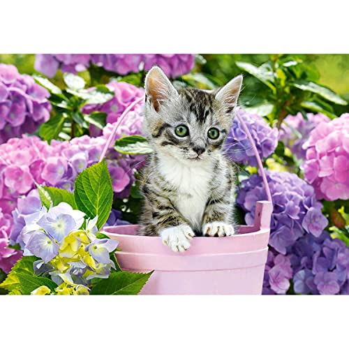 Puzzle 1500 Teile: Chaton Dans Son Panier Puzzle 1500 Teile: Chaton Dans Son Panier von Castorland