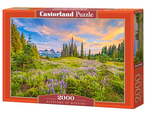 Puzzle 2000 pièces : Fleurs du Matin Puzzle 2000 pièces : Fleurs du Matin von Castorland