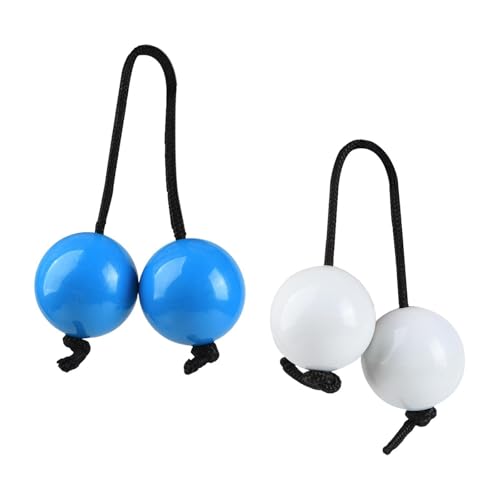 Catgol Rhythmische Sandbälle Musik Eier-Shaker 2 Paar, Hand Percussion Instrumente für Partys, Konzerte und Zuhause von Catgol