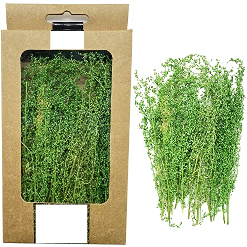 Cayway DIY Miniatur Static Grass Tuft Miniatursträucher Büsche Modell Bäume Bush für Mini Garten Dekoration Modelleisenbahn Geländebau, Gras Grün von Cayway