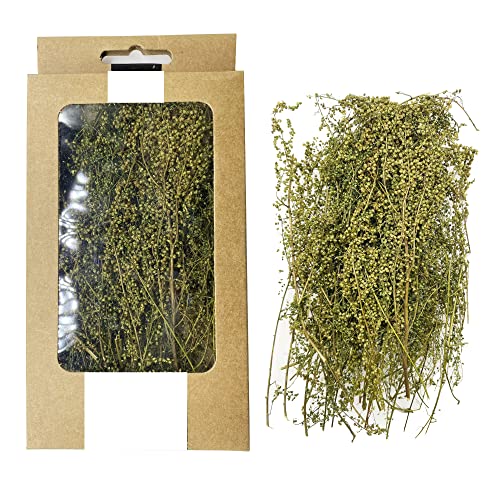 Cayway DIY Miniatur Static Grass Tuft Miniatursträucher Büsche Modell Bäume Bush für Miniatur Tabletop Spiele Modelleisenbahn Geländebau, Grün von Cayway