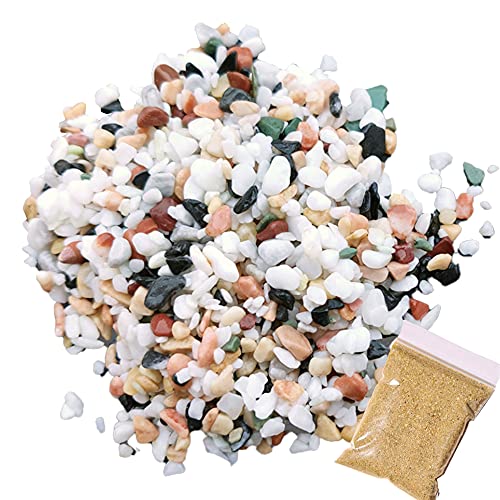 Cayway Dekosteine Kieselsteine Natur Sand Kies Natur für Pflanzen und Vasen, 1 KG Sortierte Deko Kieselsteine und 100G Kies Natur für Aquarium Sand, Minigarten, Topfpflanzen und Sukkulenten von Cayway