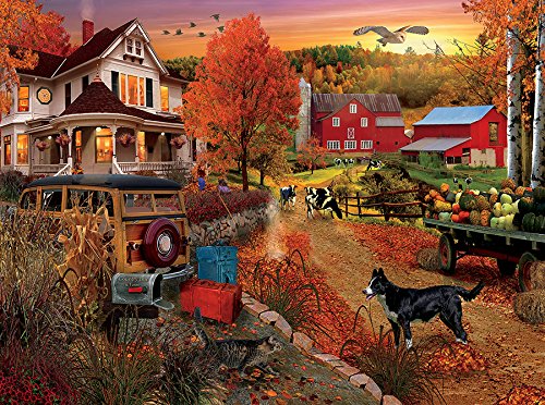 Ceaco 1000 Teile Sarinas Welt Puzzle von Ceaco