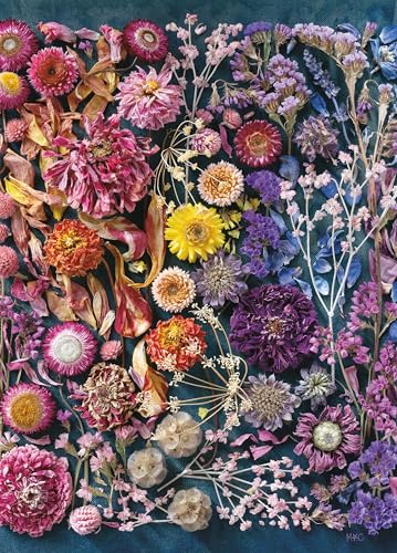 Ceaco - Meghan Crandall - Schönheit mit Alter - 1000 Teile Puzzle für Erwachsene - Herausforderndes Puzzle perfekt für Spieleabende - Fertige Größe ist 26,5 x 19 cm Ceaco - Meghan Crandall - Schönheit mit Alter - 1000 Teile Puzzle für Erwachsene - Herausforderndes Puzzle perfekt für Spieleabende - Fertige Größe ist 26,5 x 19 cm von Ceaco