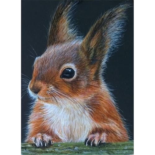 Eichhörnchen - Puzzles für Erwachsene,Puzzle 300 Teile, Puzzle 40x28 cm DIY - Puzzles für Heimdekoration, Familienpuzzle für Erwachsene und Kinder von Cekog