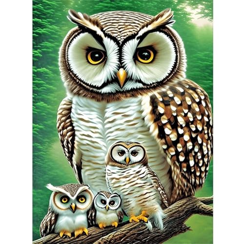 Eulenfamilie - Puzzles für Erwachsene,Puzzle 1200 Teile, Puzzle 50x75 cm DIY - Puzzles für Heimdekoration, Familienpuzzle für Erwachsene und Kinder Eulenfamilie - Puzzles für Erwachsene,Puzzle 1200 Teile, Puzzle 50x75 cm DIY - Puzzles für Heimdekoration, Familienpuzzle für Erwachsene und Kinder von Cekog