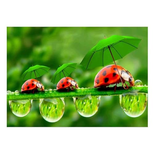 Grünes Blatt Marienkäfer - Puzzles für Erwachsene,Puzzle 500 Teile, Puzzle 38x52 cm DIY - Puzzles für Heimdekoration, Familienpuzzle für Erwachsene und Kinder von Cekog