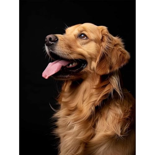 Hund Golden Retriever - Puzzles für Erwachsene,Puzzle 200 Teile, Puzzle 35x25 cm DIY - Puzzles für Heimdekoration, Familienpuzzle für Erwachsene und Kinder Hund Golden Retriever - Puzzles für Erwachsene,Puzzle 200 Teile, Puzzle 35x25 cm DIY - Puzzles für Heimdekoration, Familienpuzzle für Erwachsene und Kinder von Cekog