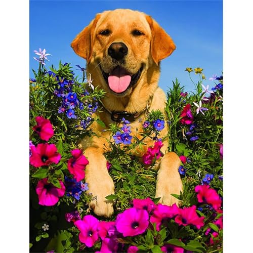 Hundeblume - Puzzles für Erwachsene,Puzzle 300 Teile, Puzzle 40x28 cm DIY - Puzzles für Heimdekoration, Familienpuzzle für Erwachsene und Kinder von Cekog