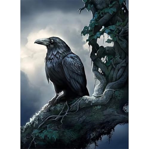 Krähe - Puzzles für Erwachsene,Puzzle 300 Teile, Puzzle 40x28 cm DIY - Puzzles für Heimdekoration, Familienpuzzle für Erwachsene und Kinder Krähe - Puzzles für Erwachsene,Puzzle 300 Teile, Puzzle 40x28 cm DIY - Puzzles für Heimdekoration, Familienpuzzle für Erwachsene und Kinder von Cekog