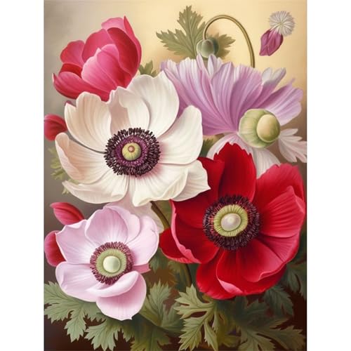 Mohn - Puzzles für Erwachsene,Puzzle 500 Teile, Puzzle 38x52 cm DIY - Puzzles für Heimdekoration, Familienpuzzle für Erwachsene und Kinder von Cekog