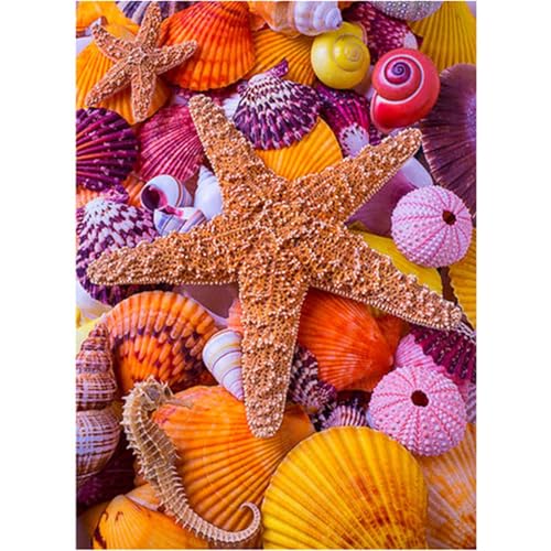 Muschelseestern - Puzzles für Erwachsene,Puzzle 300 Teile, Puzzle 40x28 cm DIY - Puzzles für Heimdekoration, Familienpuzzle für Erwachsene und Kinder von Cekog