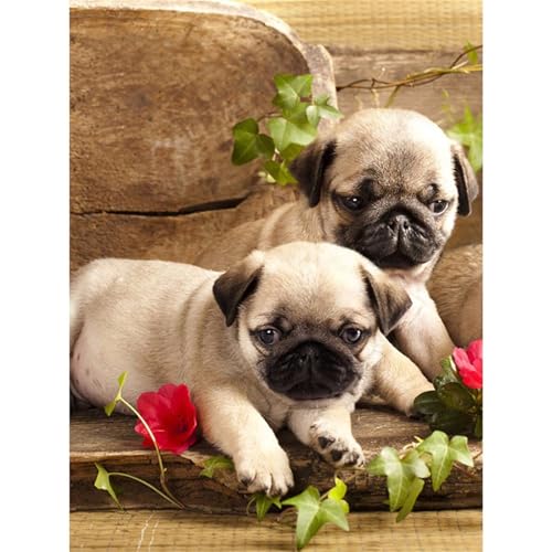 Puzzle 1200 Teile,Puzzle für Erwachsene,Süße Hunde Puzzles Lernspiel Herausforderung Spielzeug,Kunsthandwerk für Heimdekoration Unterhaltungsspiel - mit Rahmen von Cekog